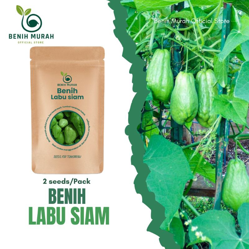 

Benih Labu Siam Bibit Sayur Jipang Benih Sayuran