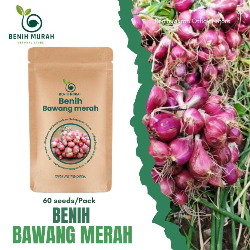 

Benih Bawang Merah