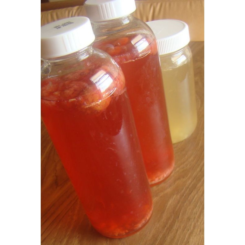 

Kombucha tea 250ml