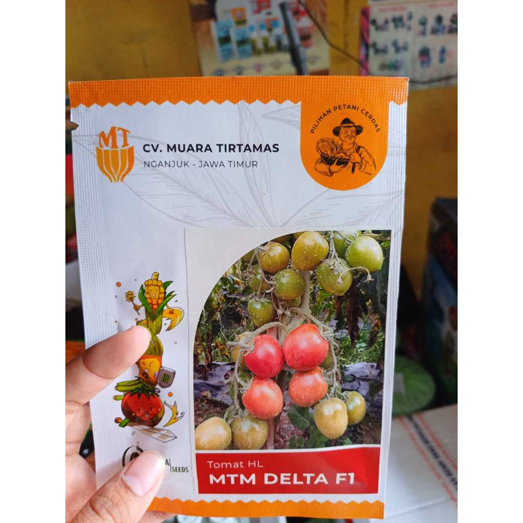 Benih tomat MTM Delta F1 isi 10 gram