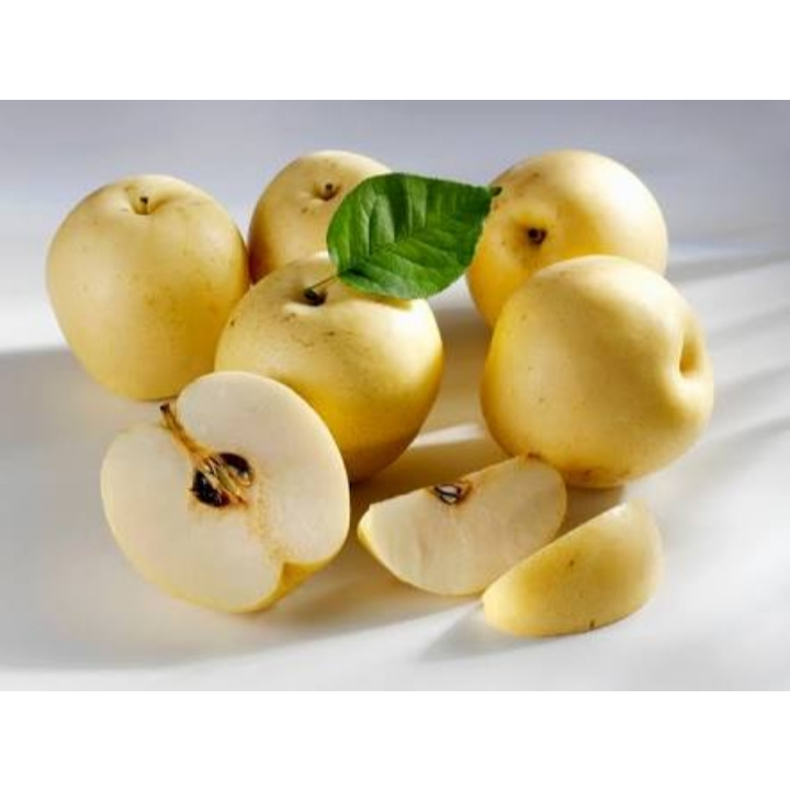

Buah Pir Fresh 1Kg ( Kirim Instan )