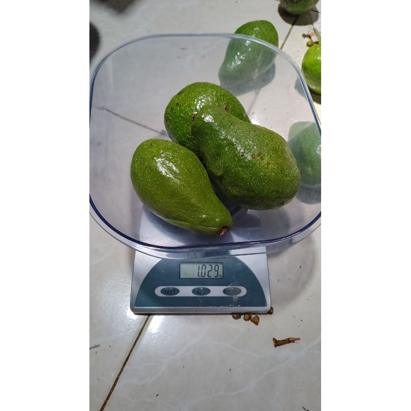 

alpukat mentega