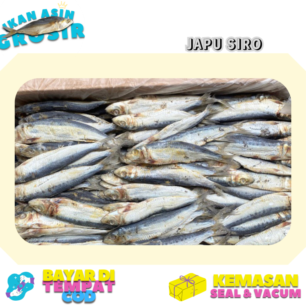 

Grosir Ikan Asin Japu Siro 500 gr