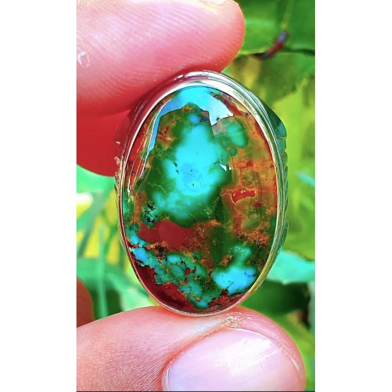 Natural Pirus Persia Lawasan