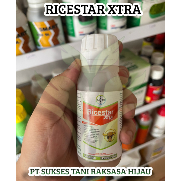HERBISIDA BAYER RICESTAR 69 EC 100 ML/RACUN SISTEMATIK PURNA TUMBUH RERUMPUTAN PADI 100ML