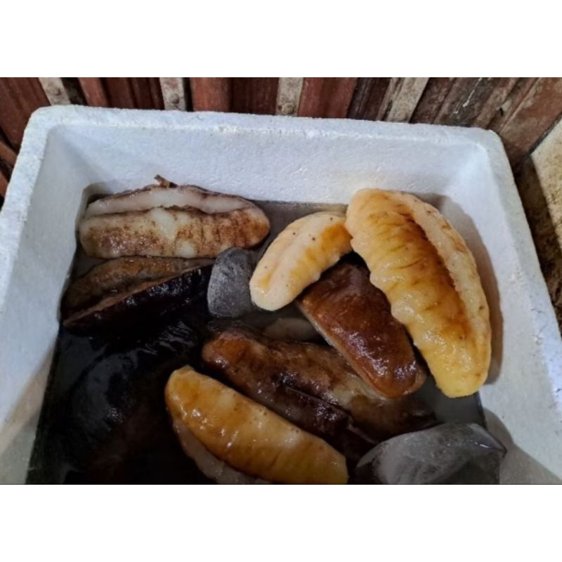 

teripang basah fresh grade A tebal haisom haisem sea cucumber tripang gosok