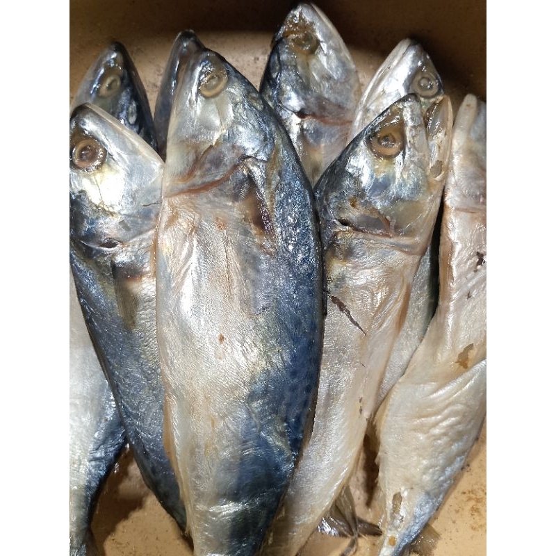 

IKANN ASIN PEDA SUPER PREMIUM