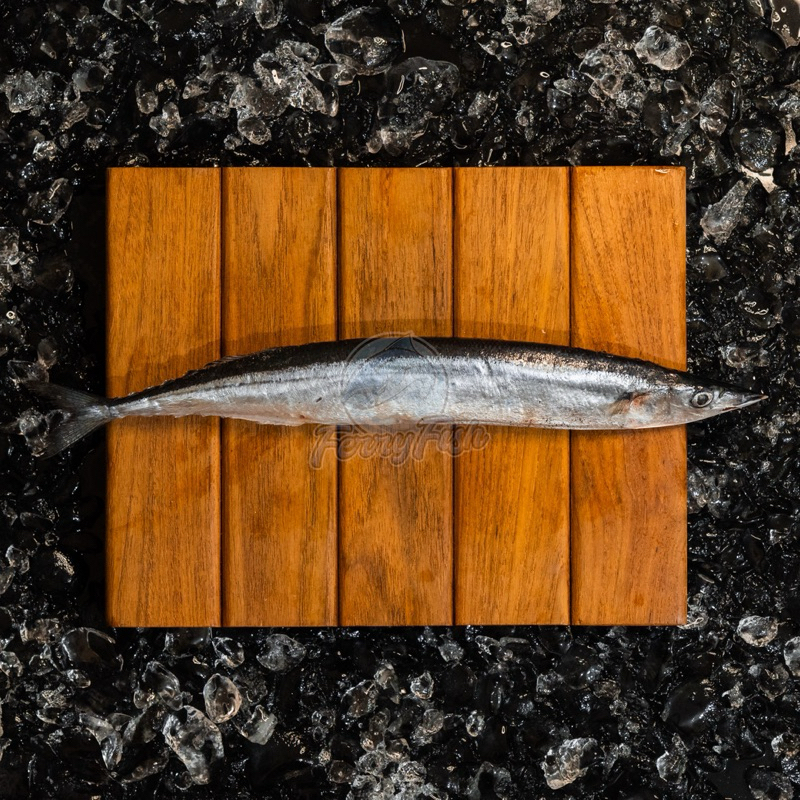 

Sanma Frozen Pacific Saury / Ikan Sanma Import
