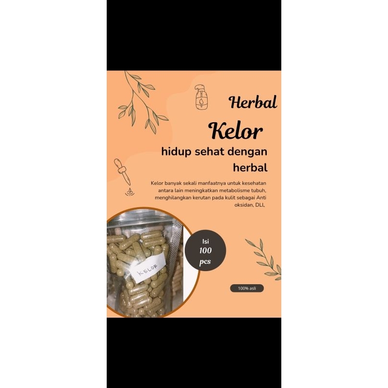 ekstrak daun kelor - kapsul daun kelor original - 100% asli - herbal