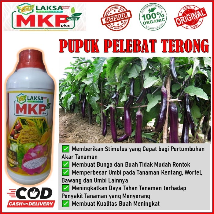 obat semprot pelebat terong ungu - MKP Cair Plus LAKSA GROW Memberikan Stimulus yang Cepat bagi Pert