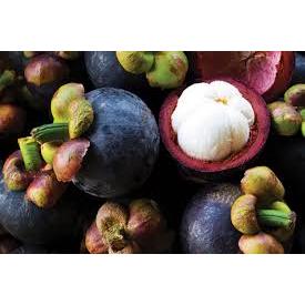 

Buah manggis manis segar