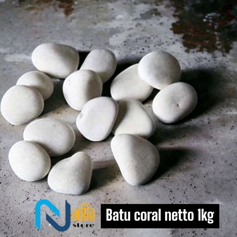 batu coral kupang putih / batu koral putih / batu koral 1kg
