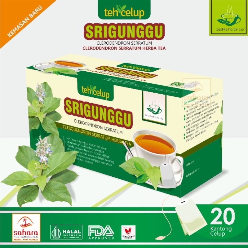 

Teh Srigunggu clerodendrom seratum tea untuk gurah mengatasi asma, bronchitis dan melonggarkan napas