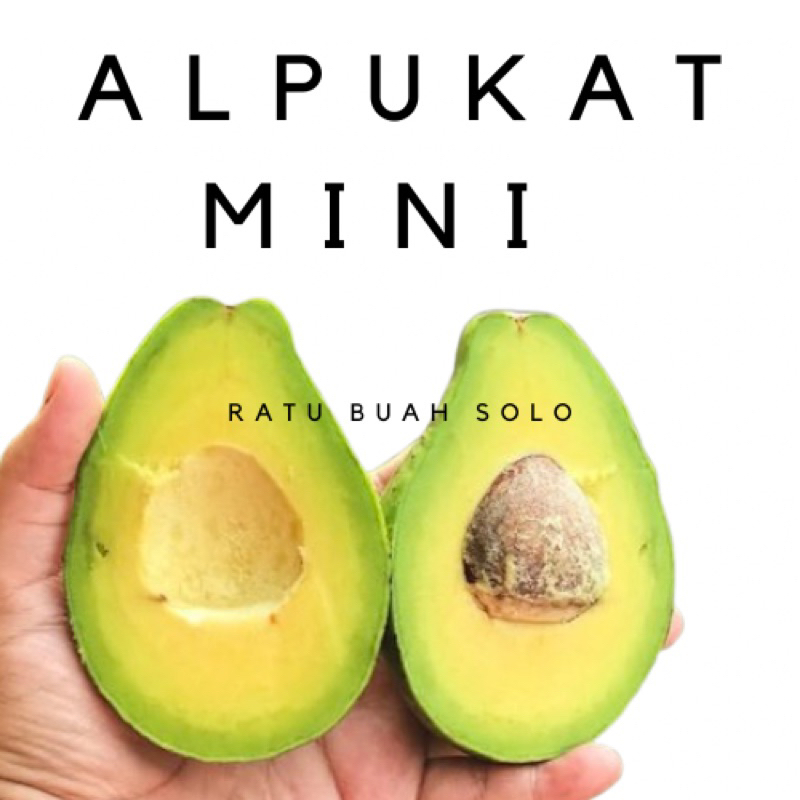 

Alpukat mentega isi 5-6