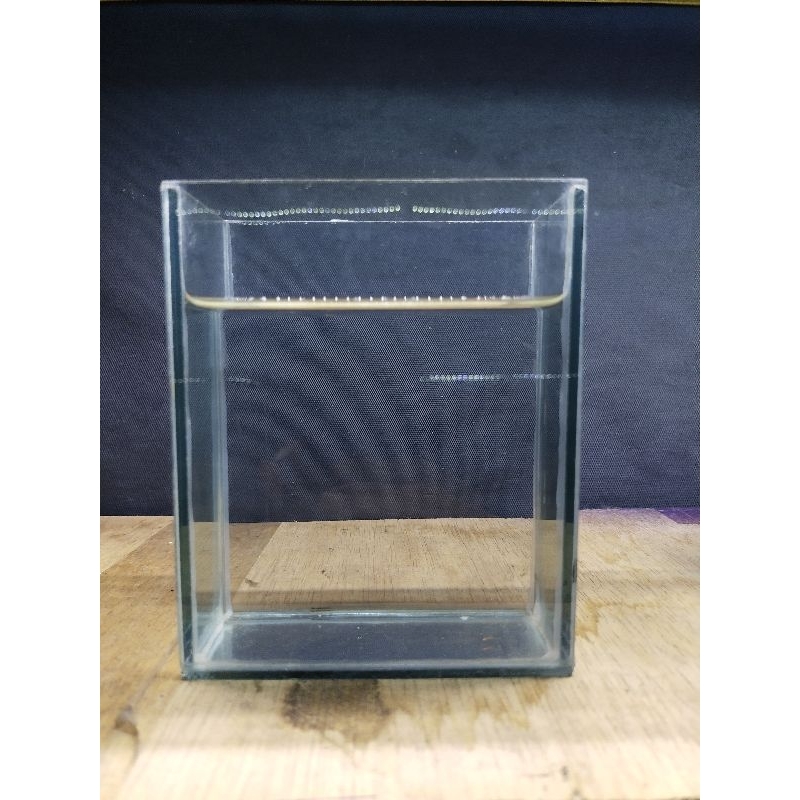 akrilik ( prtde koi )