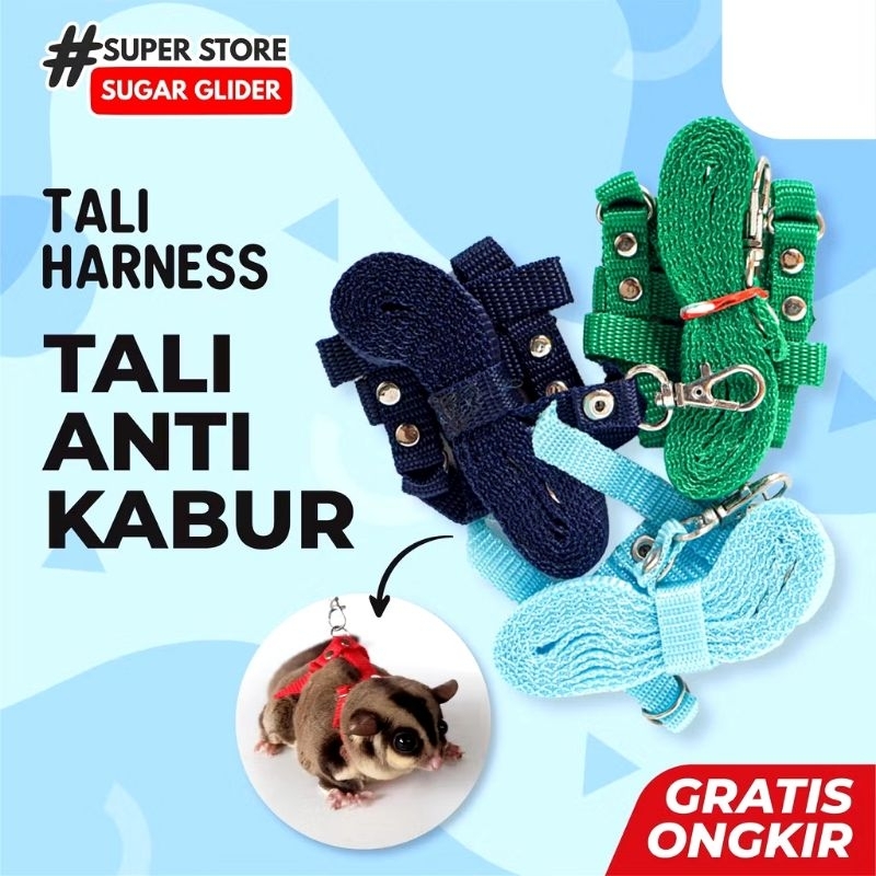 HARNESS SG - Tali Tuntun Tali Penuntun Harness H Sugar Glider Biawak Salva Iguana Landak Mini Kelinc