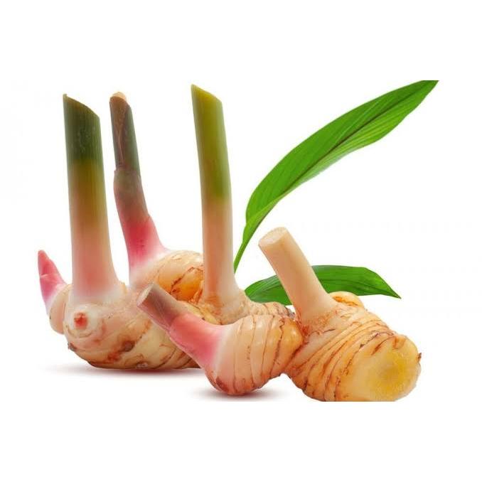 

Lengkuas Laos 500 Gram Penyedap Rasa Masakan