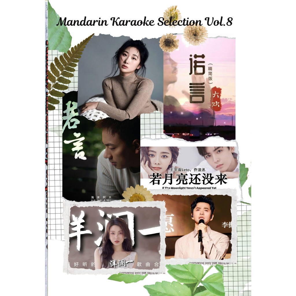 MANDARIN KARAOKE COLLECTION DVD VOL 8