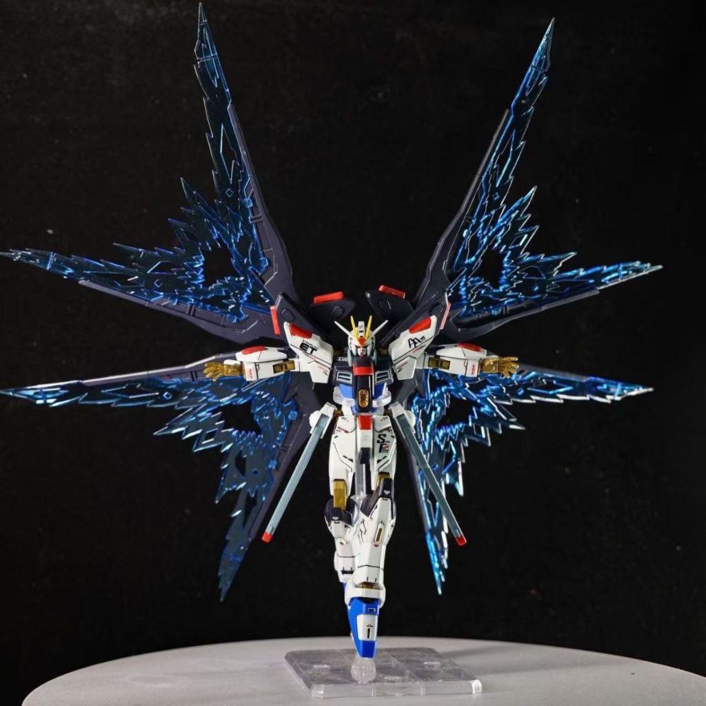 Gaoke 201 HG 1/144 Strike Freedom Revive Fighter Mode Kit