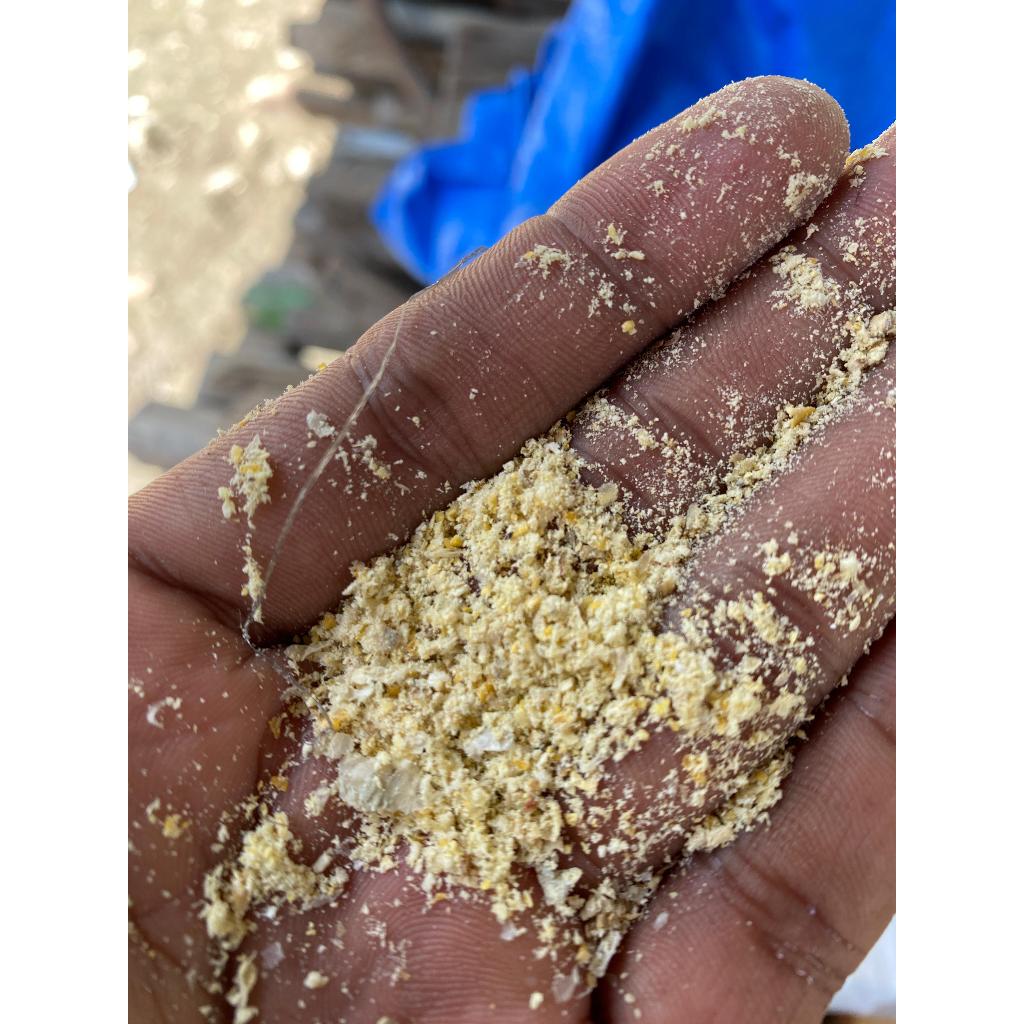 DEDAK JAGUNG KASAR 1KG UNTUK TERNAK BEBEK DLL