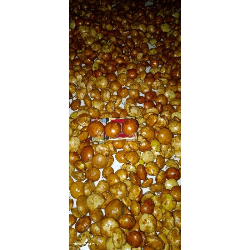 

Jengkol 1 Kg