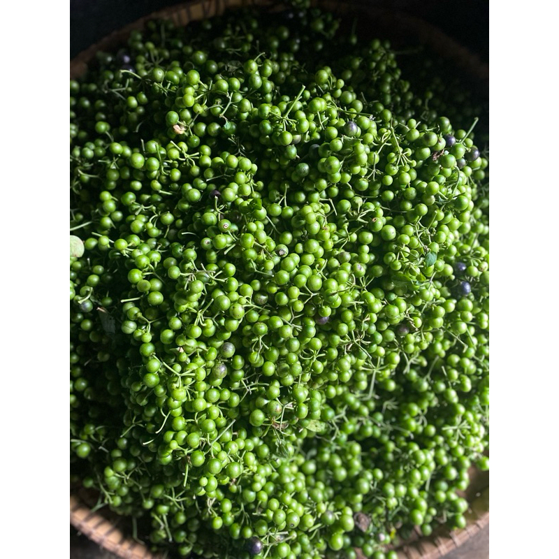 

sayur lenca