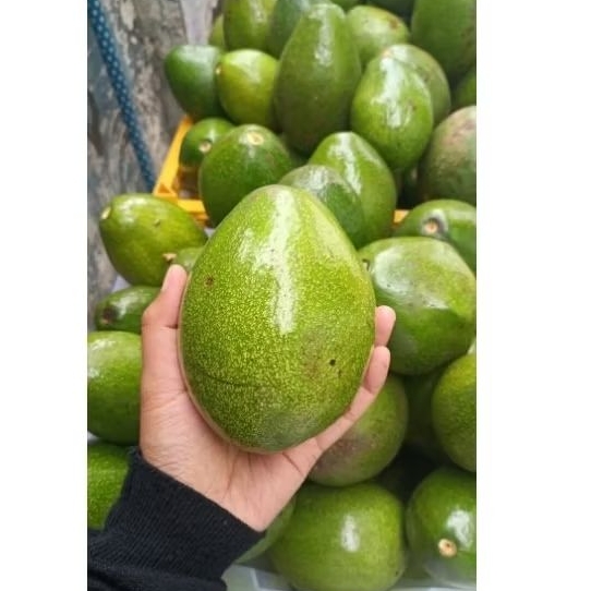 

PROMO FLASH SALE 2KG ALPUKET MENTEGA 1KG ISI 7,8 pcs