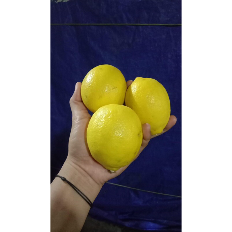 

1kg Lemon California Super