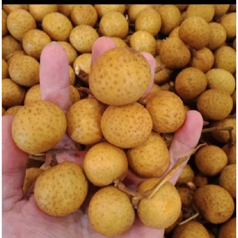 

klengkeng manis 1kg