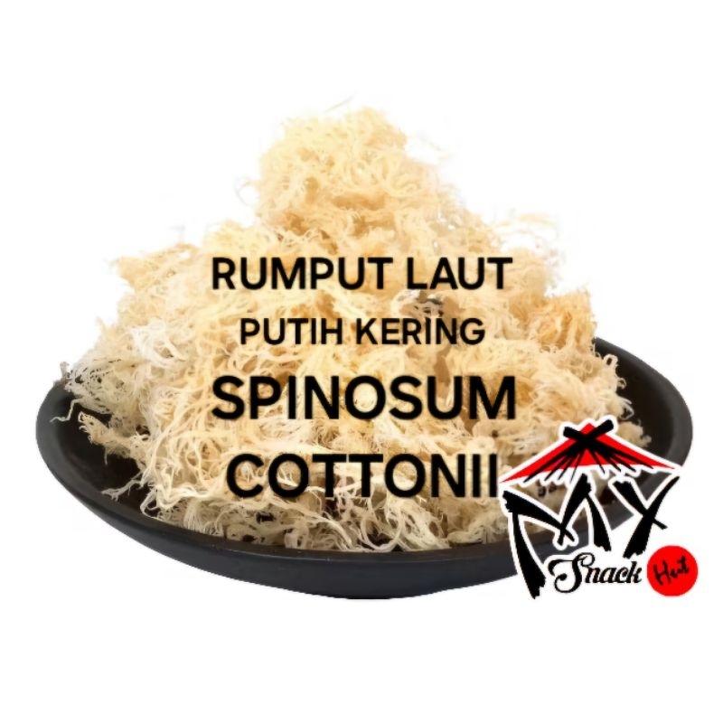 

RUMPUT LAUT PUTIH KERING 1KG DRIED SPINOSUM EUCHEUMA COTTONII ES CAMPUR TELLER SERABUT WHITE SEAWEED
