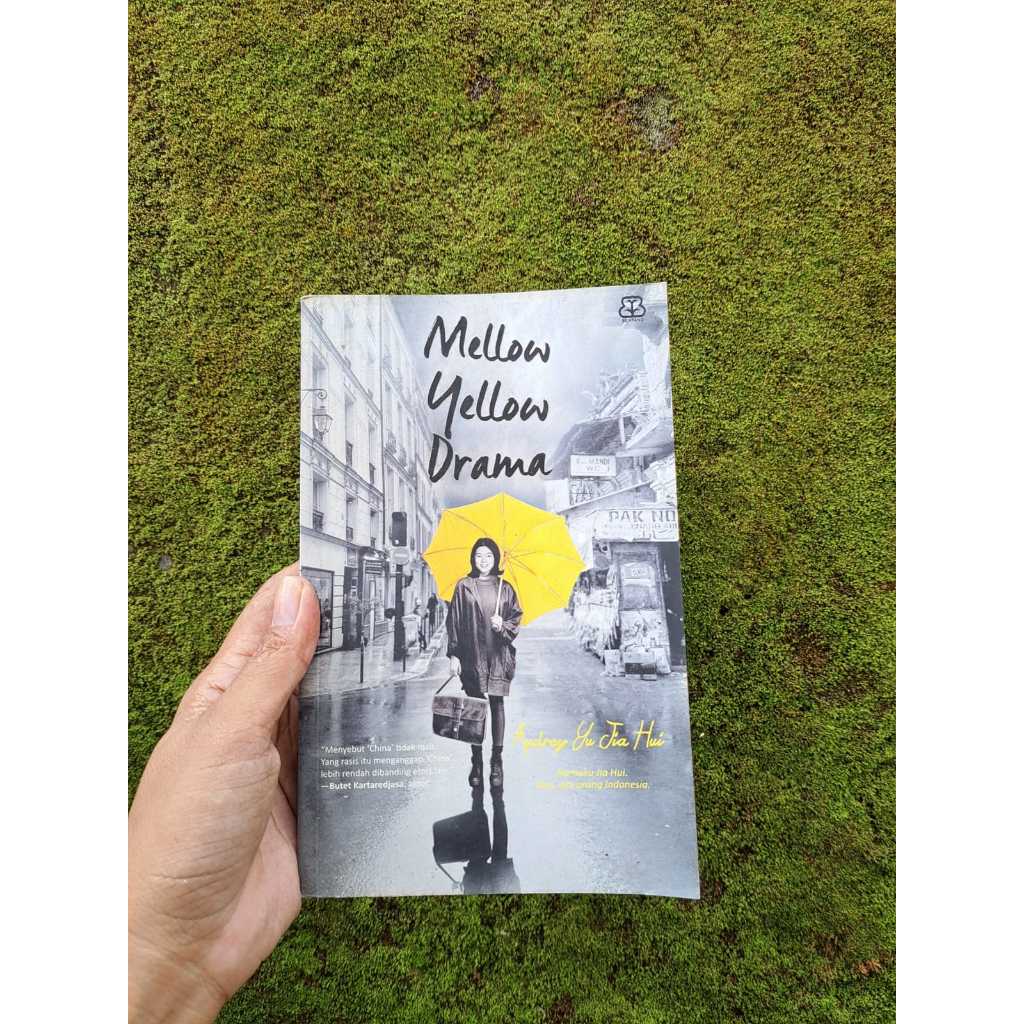 Novel Mellow Yellow Drama Aundrey Yujianhui