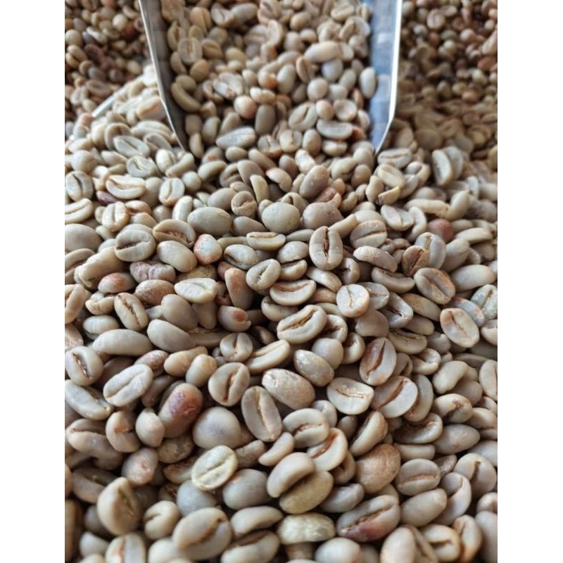 

Biji Kopi Greenbean Arabika Gayo Natural Grade 1 Kualitas Ekspor