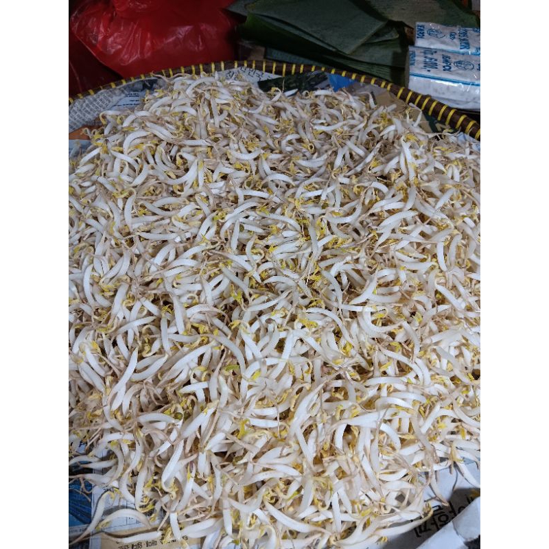

toge kecil / biasa 500gr
