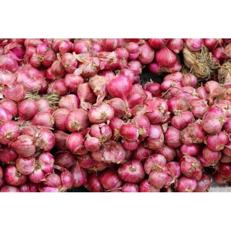 

Bawang merah asli 500 gr / bawangp merah berebes/bawang merah super