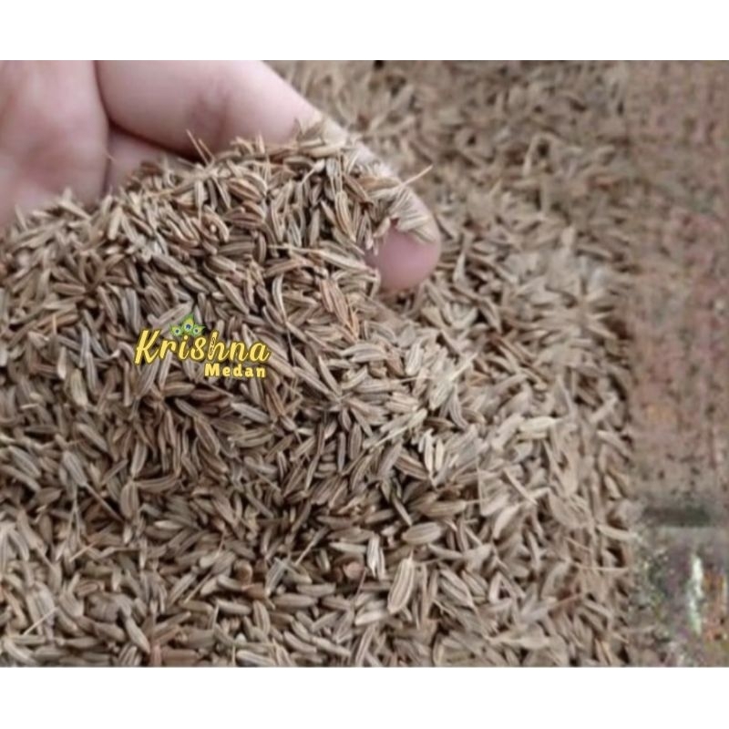 

Jintan Halus | Cumin Seeds | Jintan putih