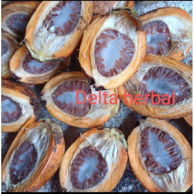 

BUAH PINANG TUA / PINANG TUA fress 1 kg