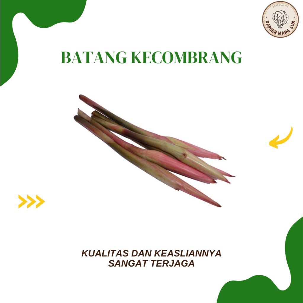 

EKSTRAK BATANG KECOMBRANG BEST SELLER