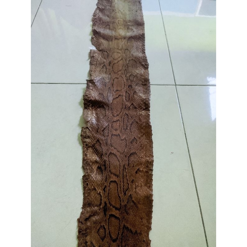 Kulit samak molurus/retic india