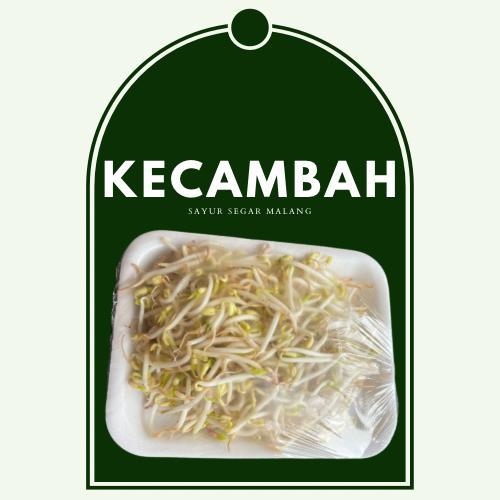 

KECAMBAH SUPER SEGAR 100/250GRAM