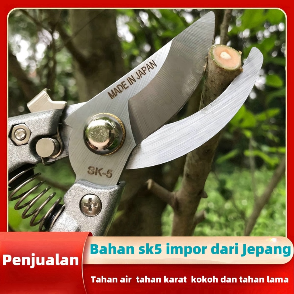 Gunting pruning durian Gunting Bonsai Kapusi Japan stainless steel serbaserbiperkakas