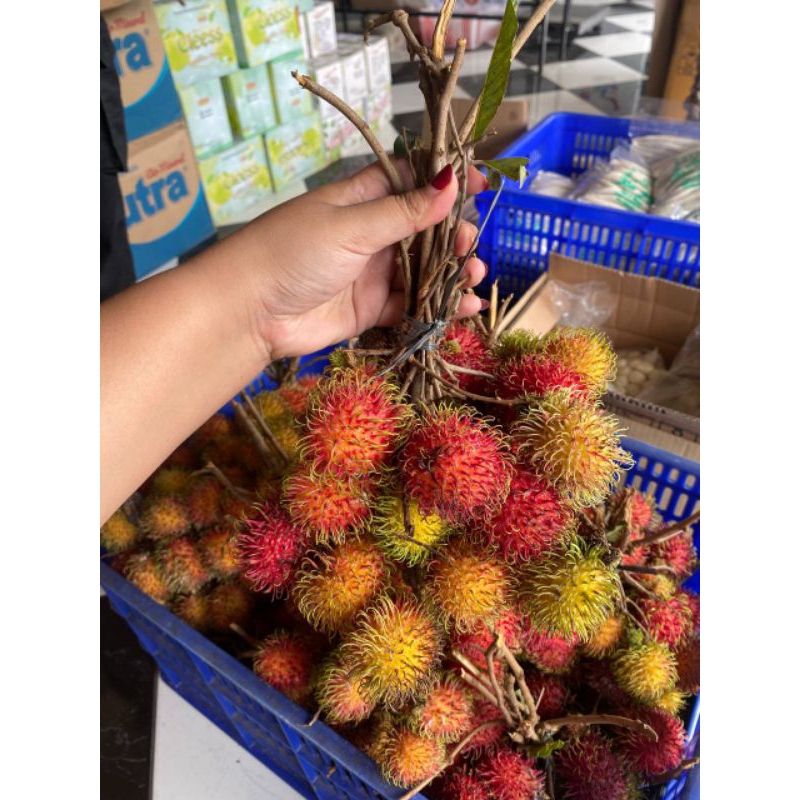 

Rambutan Manis -+1kg