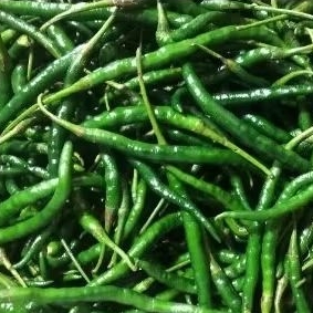 

Cabe Cabai Hijau Kriting 500gr