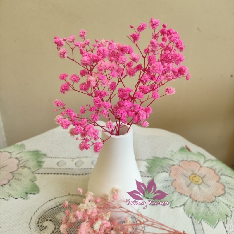 bunga kering baby breats pink