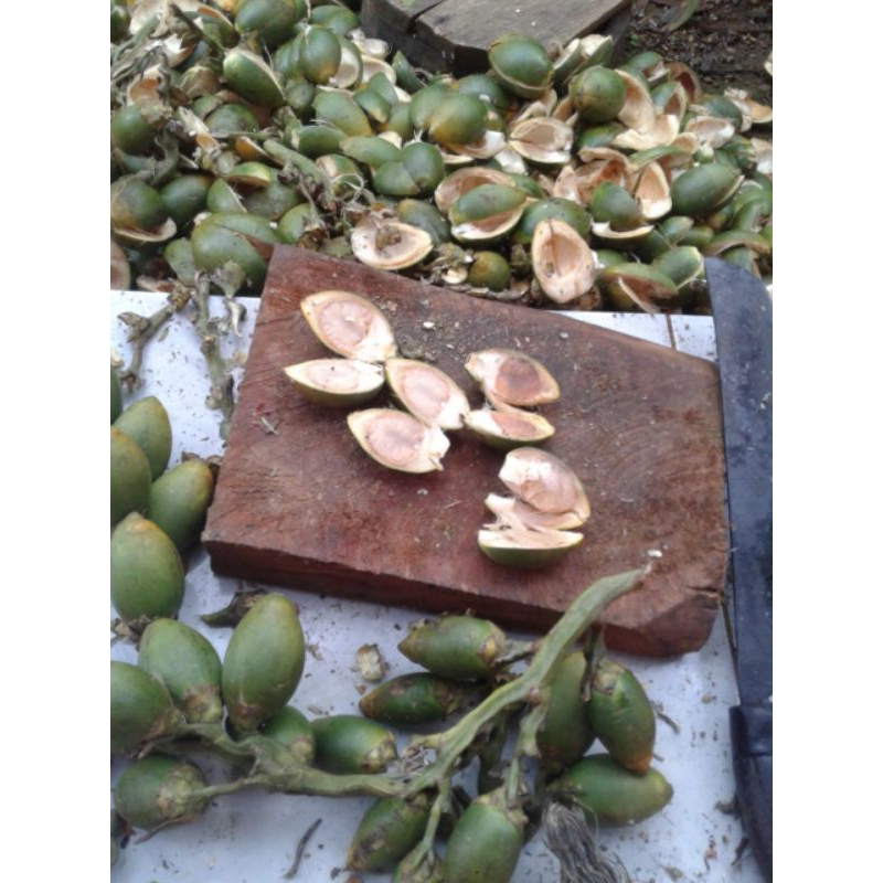 

pinang muda/ jambe muda segar 500 gram