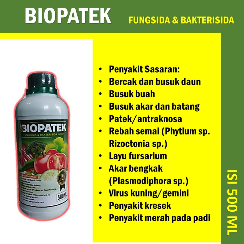 RK TERLARIS Obat Semprot Hama Kuning Kerdil Daun Padi Terampuh - Terbaru Obat Hama Kuning Kerdil