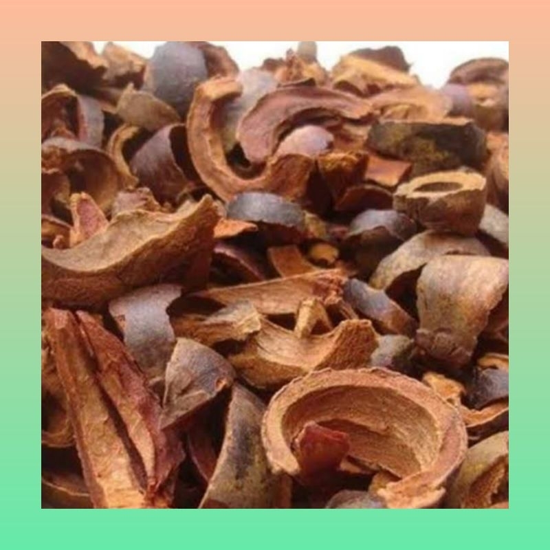 

Kulit manggis kering 1 kg | Kulit manggis kering untuk obat | kulit manggis kering obat tradisional | Kulit manggis kering