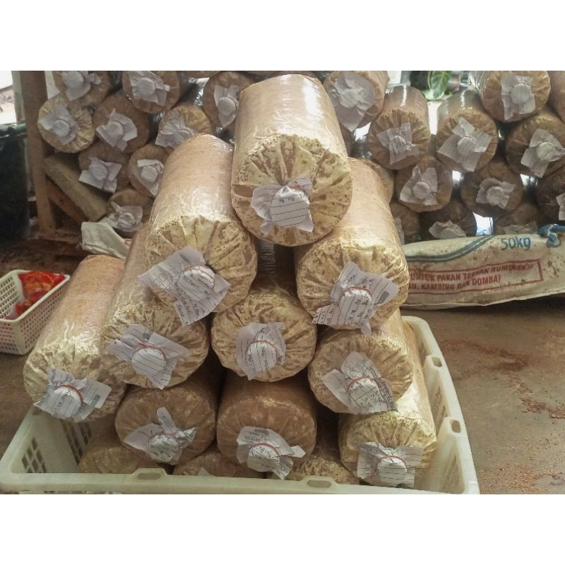 Baglog Jamur Tiram