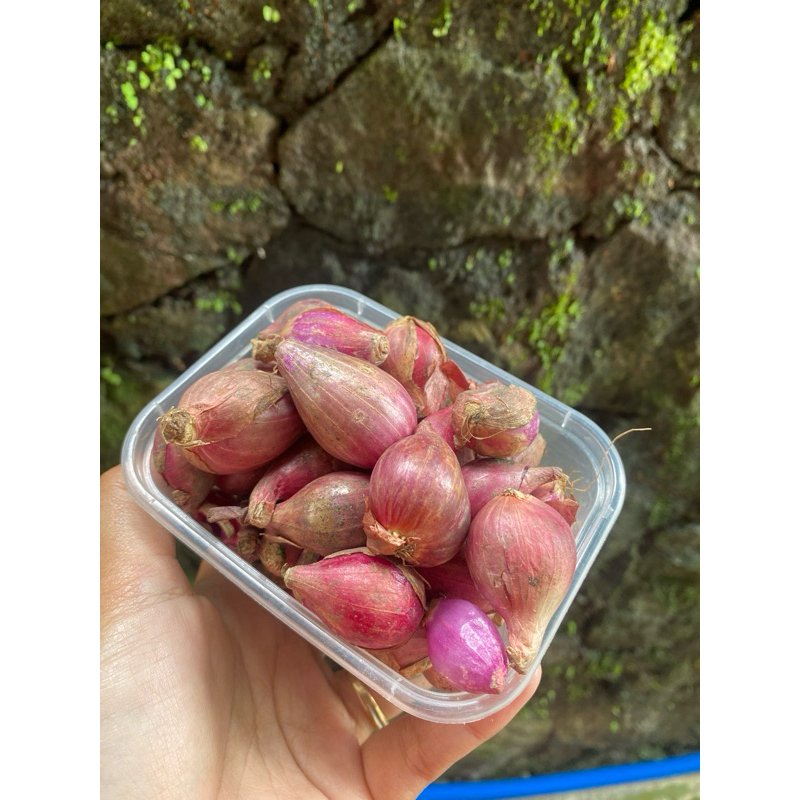 

Bawang Merah fresh