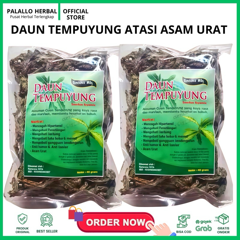 

DAUN TEMPUYUNG KERING 40GR KENCANA WILIS