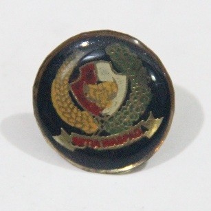 Pin AM Paspampres Bulat Hitam